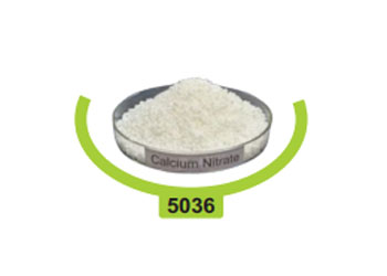 CALCIUM NITRATE
